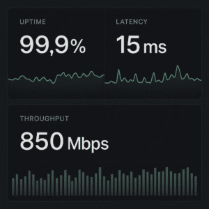 Managed connectivity services and network monitoring
