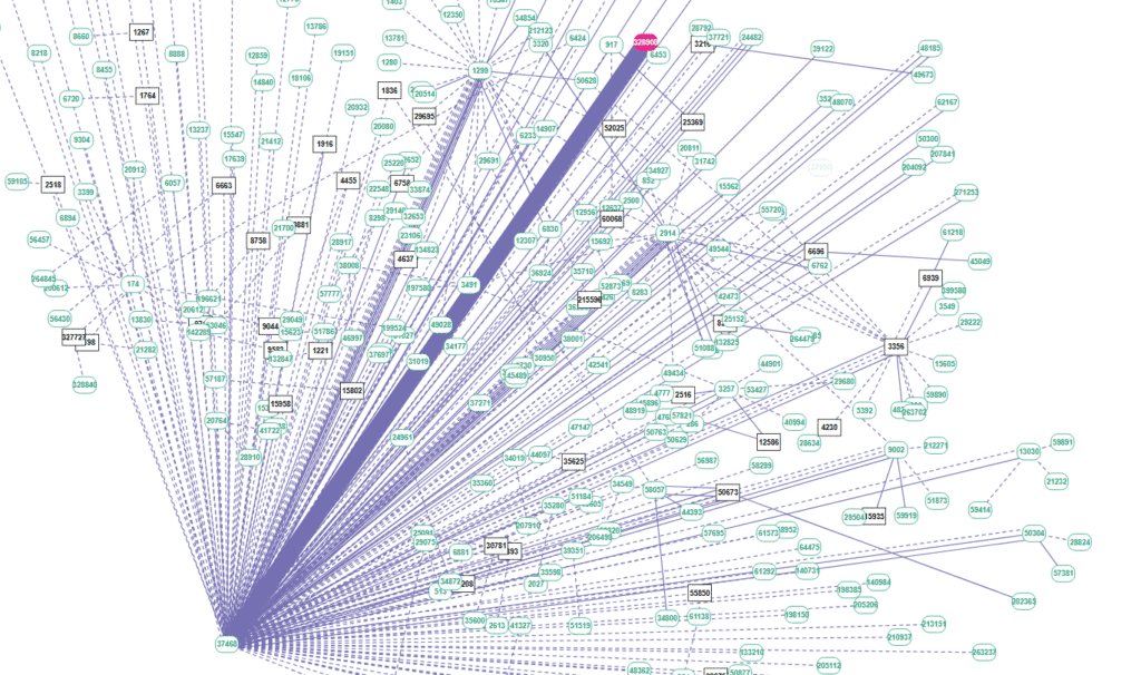 BGP Routing Investigation blog image 3 - network image - Si Futures BGP routing resolution RIPE BGPlay analysis e-commerce network outage