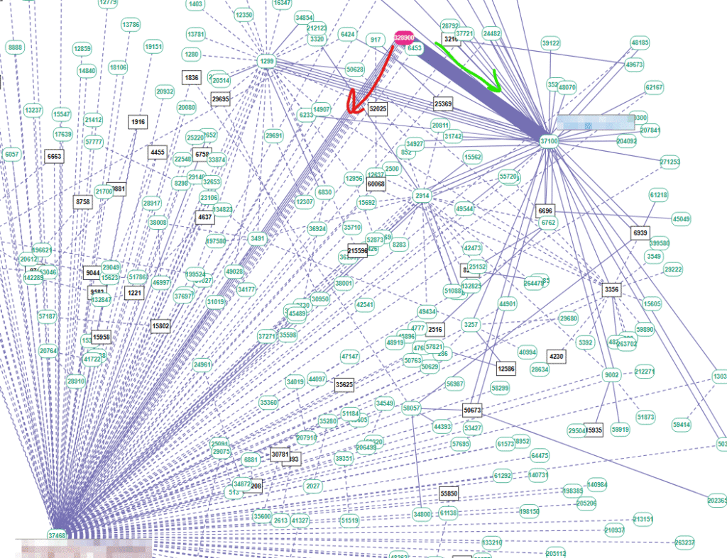 BGP Routing Investigation blog image 1 - network image - Si Futures BGP routing investigation RIPE BGPlay analysis e-commerce network outage